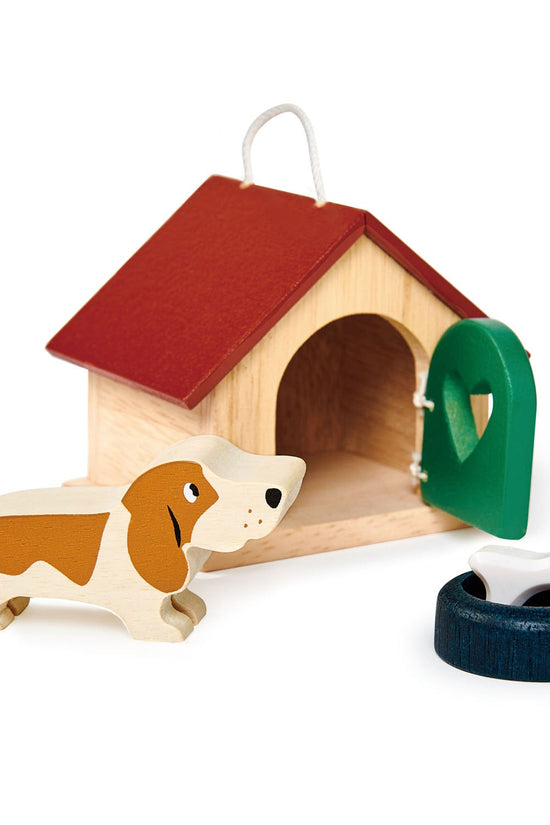 Pet Dog Set