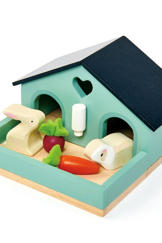 Pet Rabbit Set
