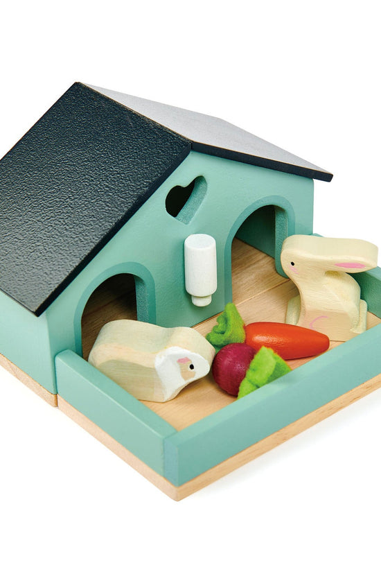 Pet Rabbit Set
